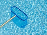 pool skimmer